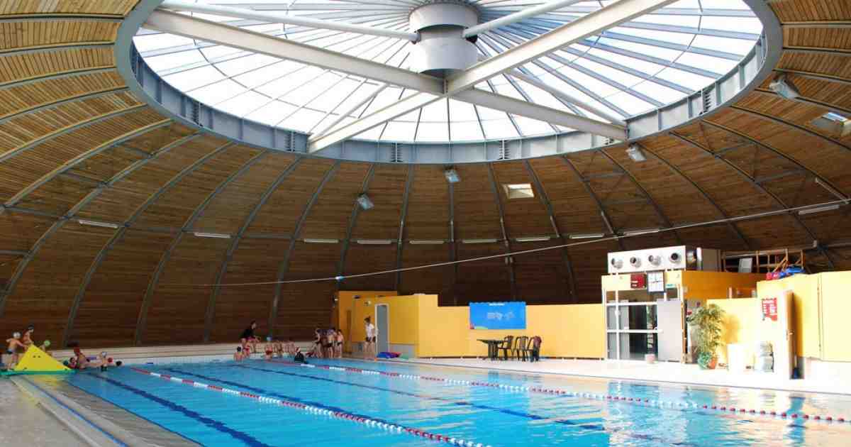 piscine, tournesol